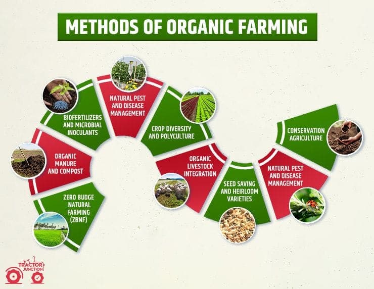 SSVE Group Agriculture - Azolla Seeds & Organic Fertilizers